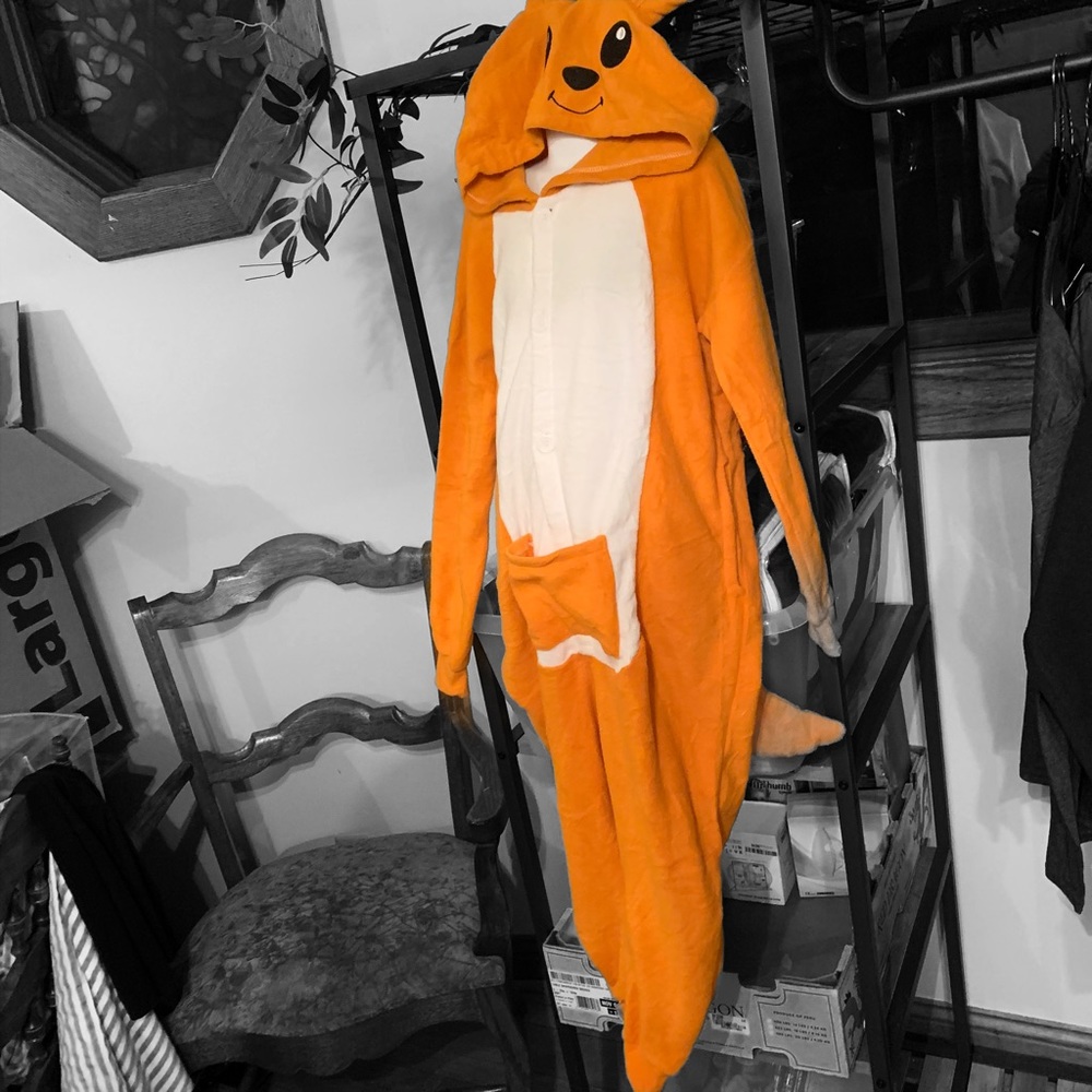 NWOT Anime Charizard Kigurumis Charmander